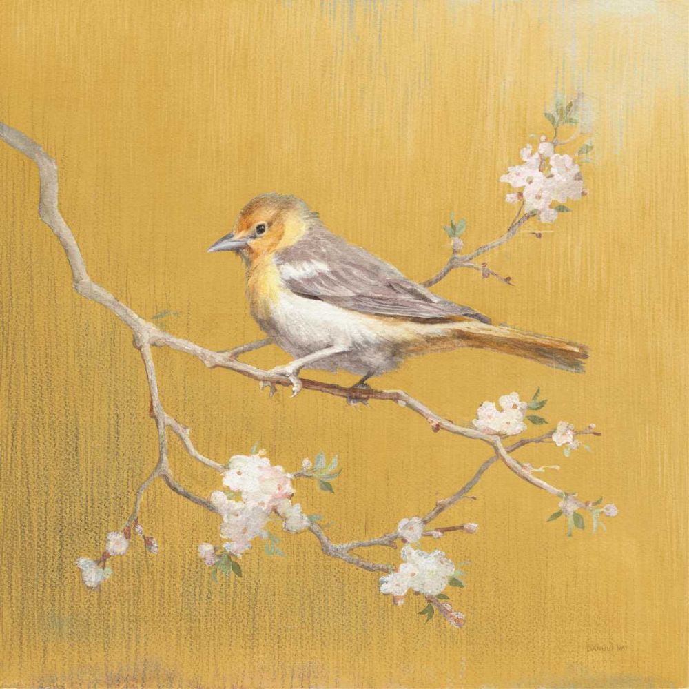 Northern Oriole on Gold by Danhui Nai - Item # VARPDX24628