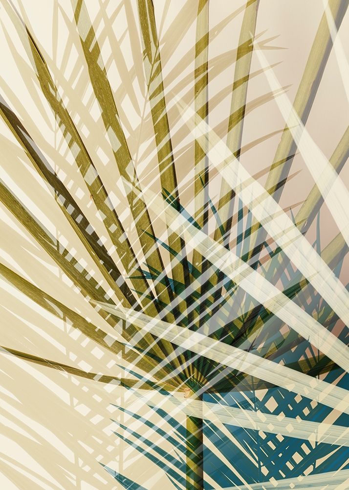 Exsposure 8 by Ian Winstanley - Item # VARPDXW1175D