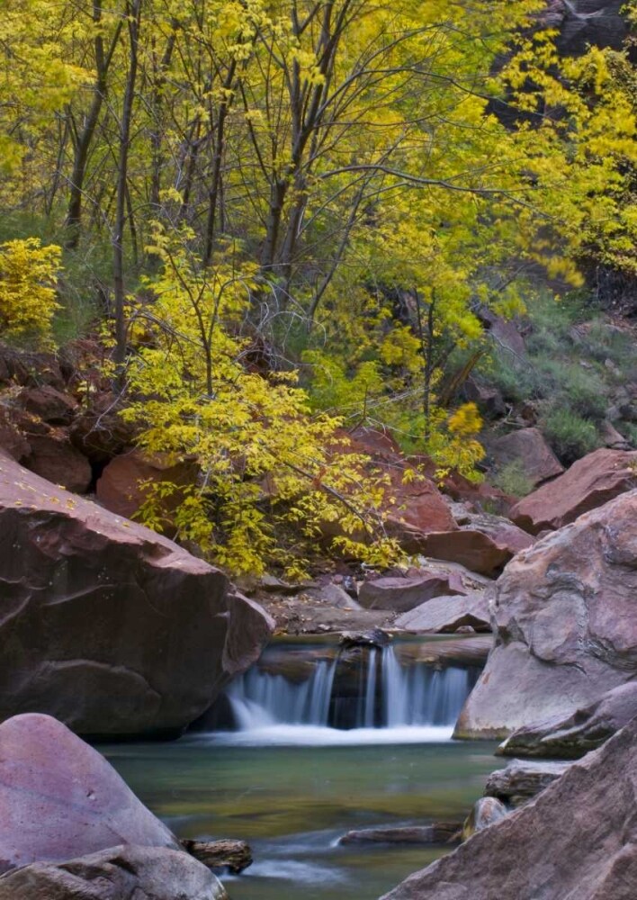 UT, Zion Virgin River waterfall and The Narrows by Nancy Rotenberg - Item # VARPDXUS45BJA0203