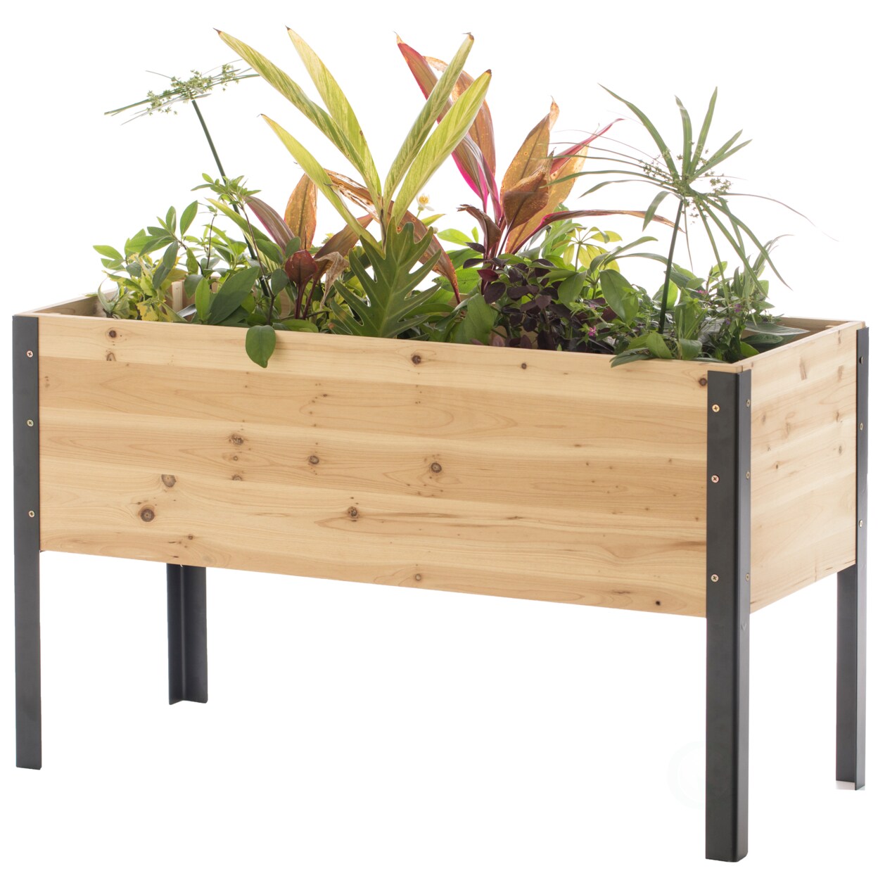 Gardenised Elevated Outdoor Raised Rectangular Planter Bed Box Solid Wood with Steel Legs Natural