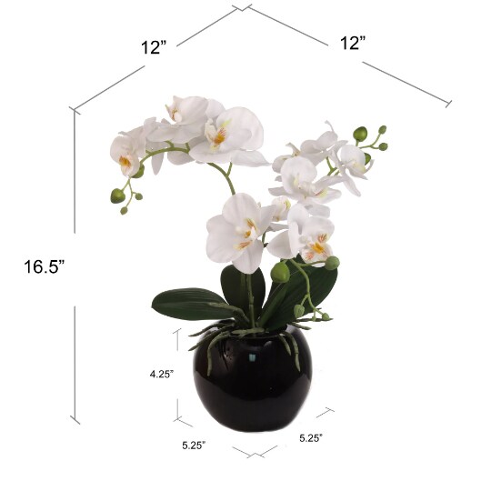16.5" Phalaenopsis Orchid Arrangement - Black Ceramic Vase, Elegant Floral Decor, Floral Home by Artificial Flowers