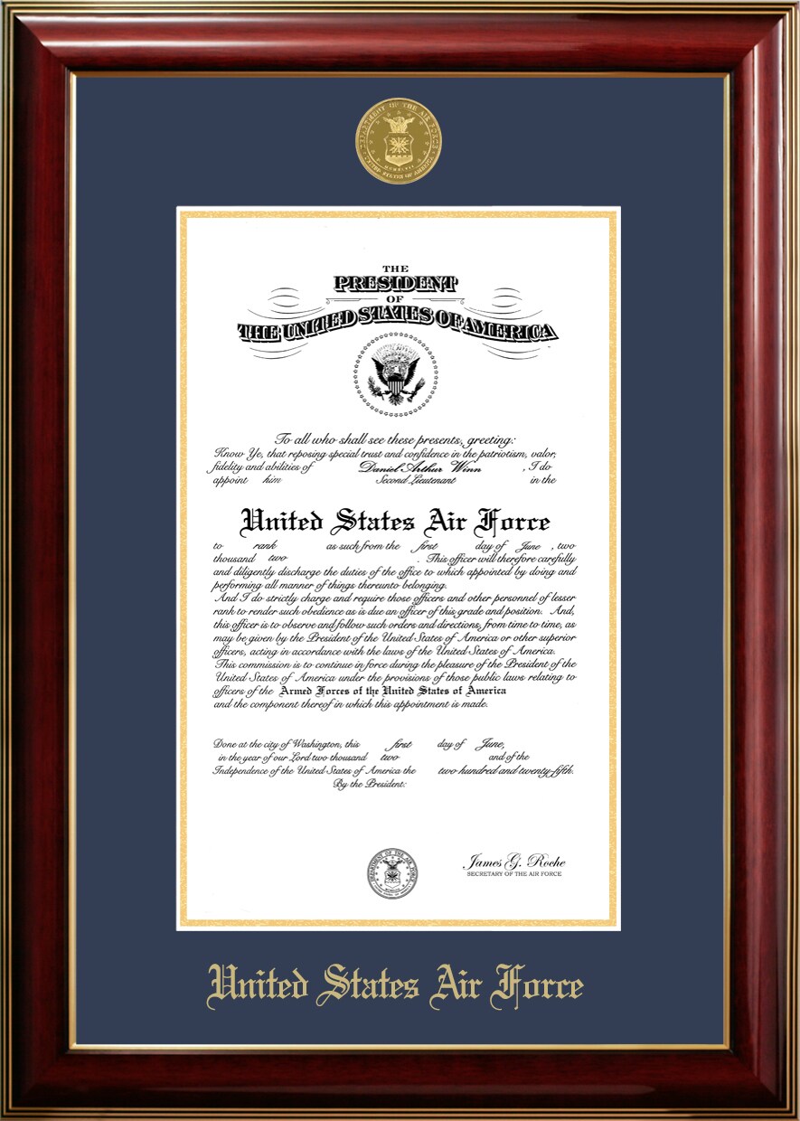 Patriot Frames Air Force 10x14 Certificate Classic Mahogany Frame with Gold Medallion