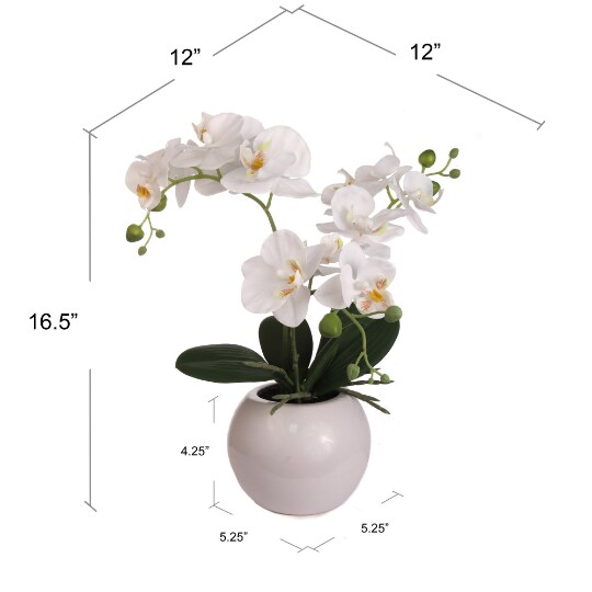 Elegant 18" White Phalaenopsis Orchid Arrangement in Ceramic Vase - Upgrade Your Home Decor, Floral Home by Artificial Flowers