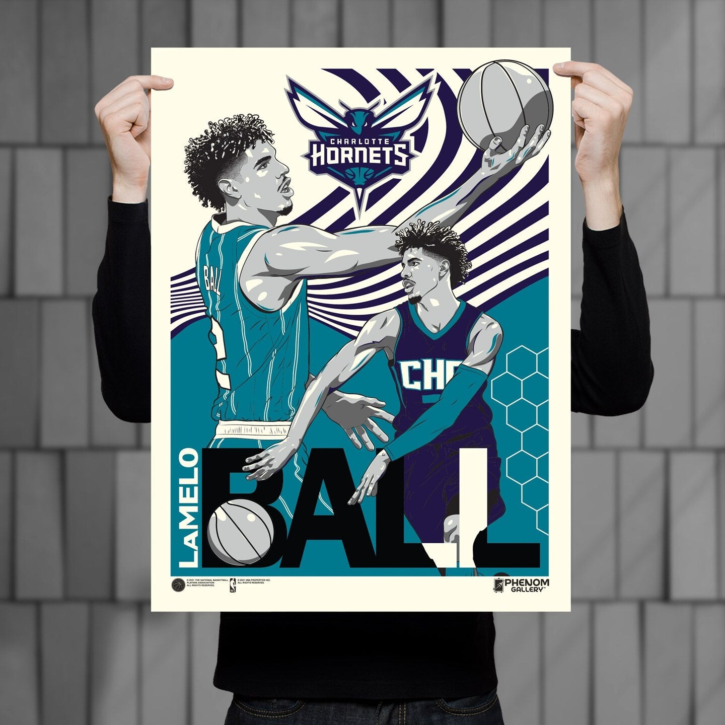 Phenom Gallery Charlotte Hornets LaMelo Ball 18" x 24" Deluxe Framed Serigraph