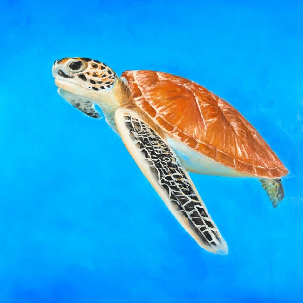 Sea Turtle Poster Print by Atelier B Art Studio - Item # VARPDXBEGANI274