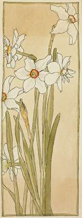 Poets Narcissus Poster Print by Hannah Borger Overbeck - Item # VARPDX460111