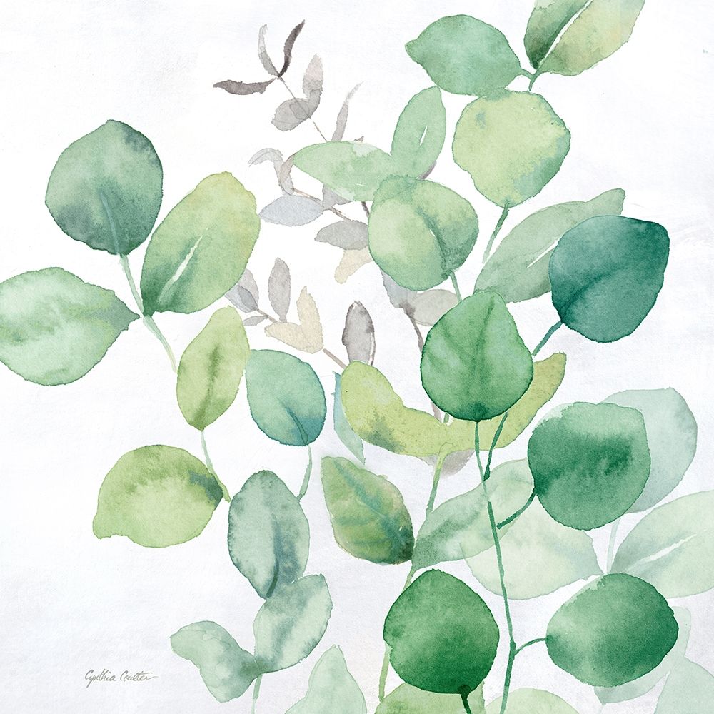Eucalyptus Leaves I Poster Print by Cynthia Coulter # RB14278CC