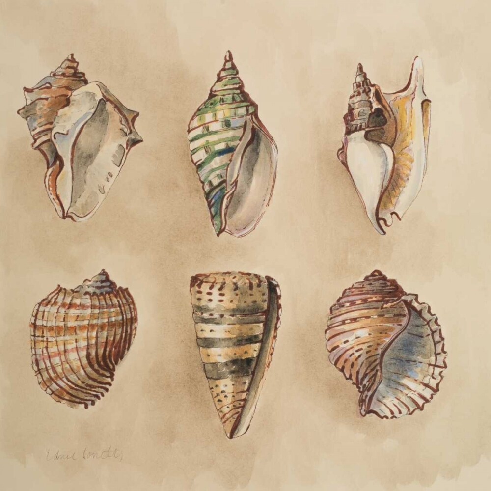 Seashells II Poster Print by Lanie Loreth - Item # VARPDX10159