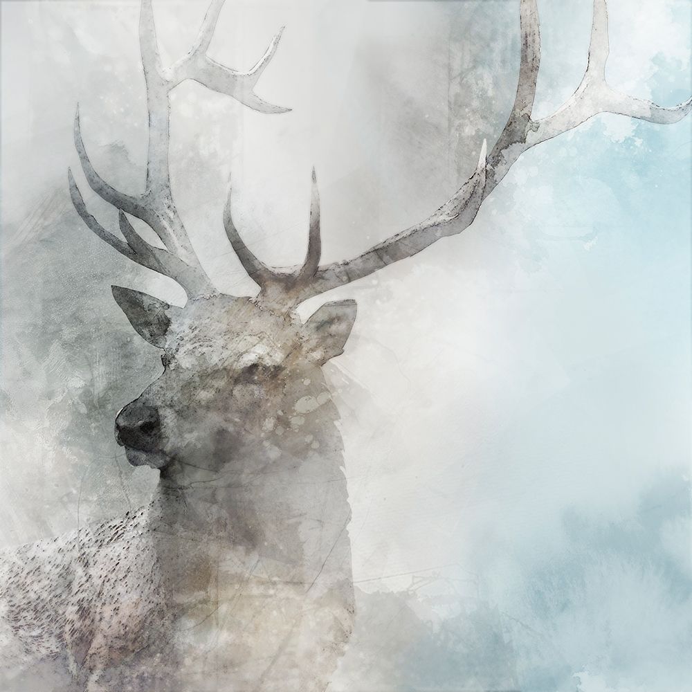 Stag Gaze II Poster Print by Ken Roko # KX114A