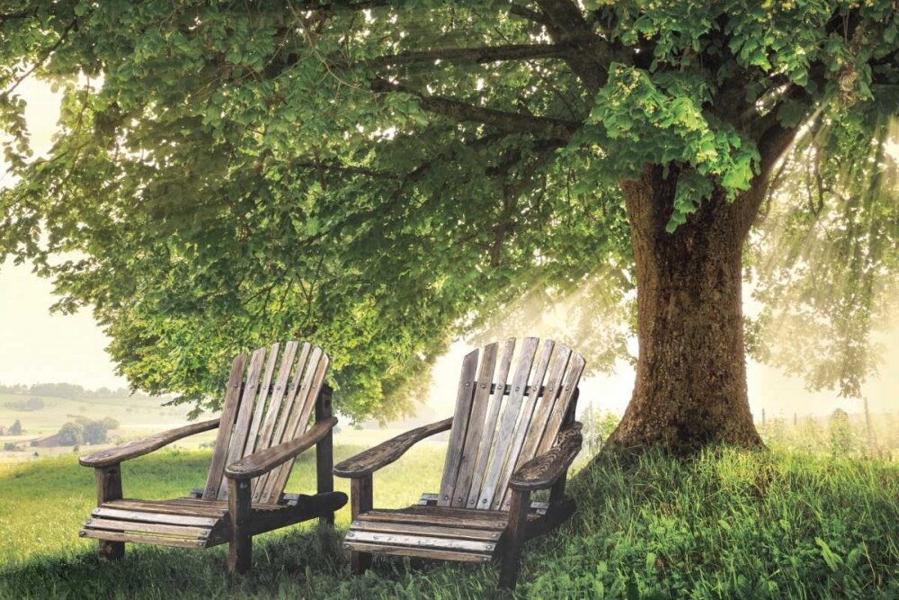 Made In The Shade Poster Print by Celebrate Life Gallery - Item # VARPDXVDP123