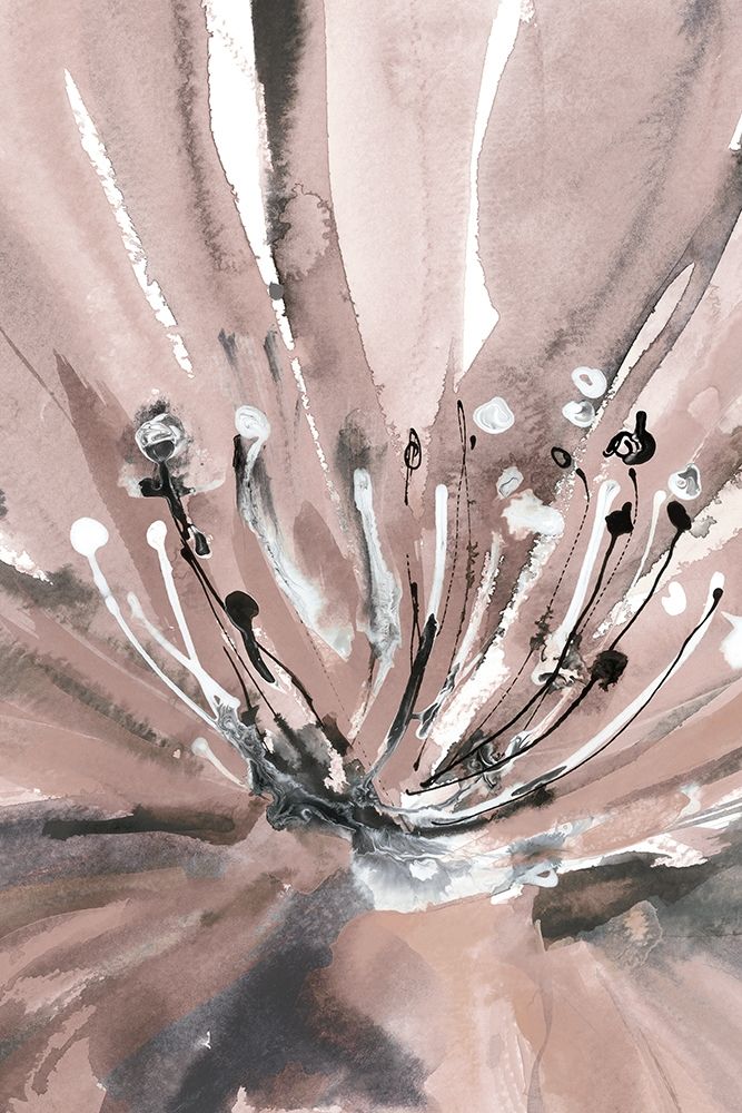 Pretty In Pink Ii Poster Print by Rebecca Meyers - Item # VARPDX70061