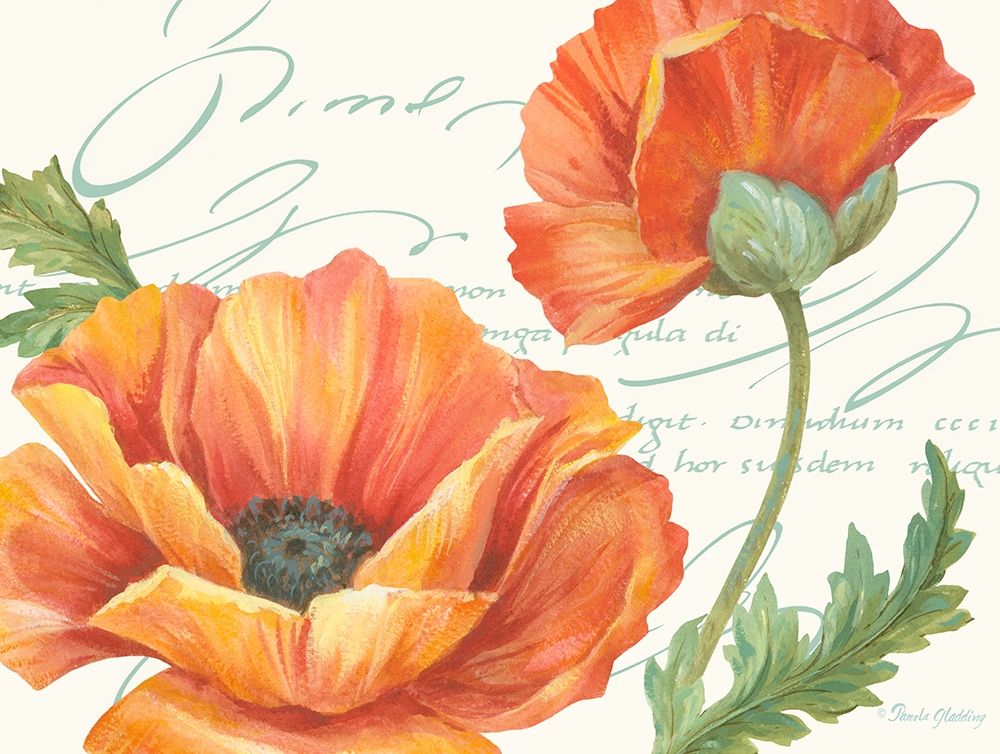 Orange Poppies II Poster Print by Pamela Gladding # GLA635
