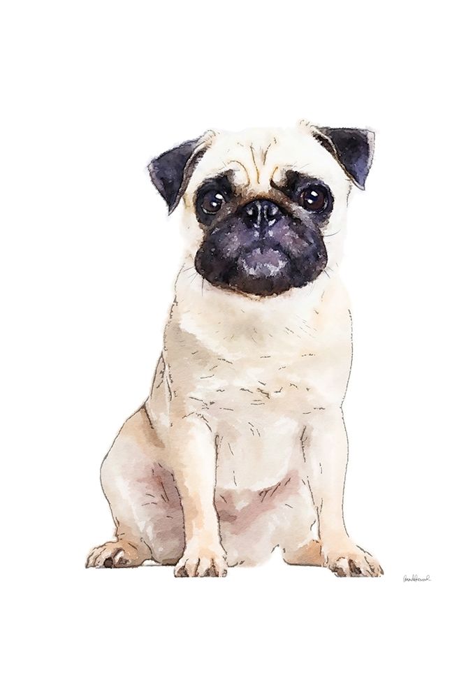 Pug Poster Print by Amanda Greenwood # AGD116457