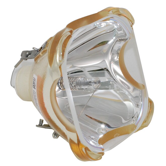 Sony LMP-H202 Projector Bulb - Philps OEM Projection Bare Bulb