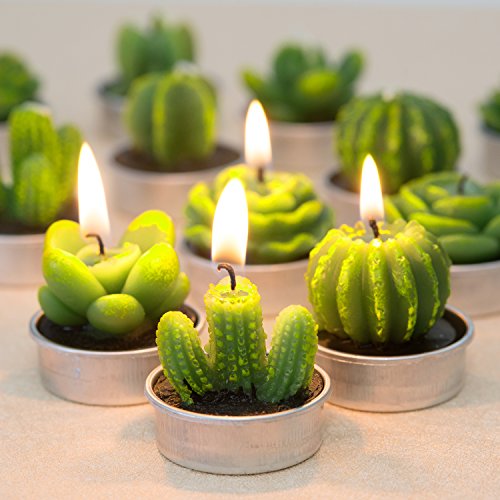 12 Pieces Cactus Tealight Candles,Handmade Delicate Succulent Cactus Candles for Party Wedding Spa Home Decoration Gifts