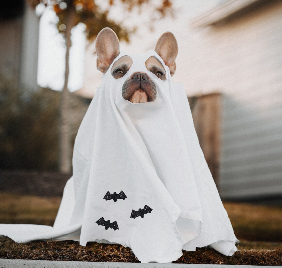 2 inch Black Glitter Bat, Halloween, Embroidered, Iron on Patch