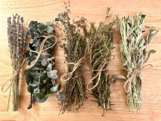 ヴィンテージ　ハーブ　アート　FRESH HERBS ヴィンテージ ハーブ アート FRESH HERBS Store 2 — Arch