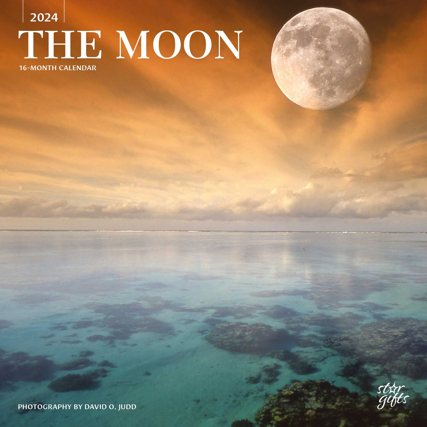 The Moon 2024 12 x 24 Inch Monthly Square Wall Calendar Sticker