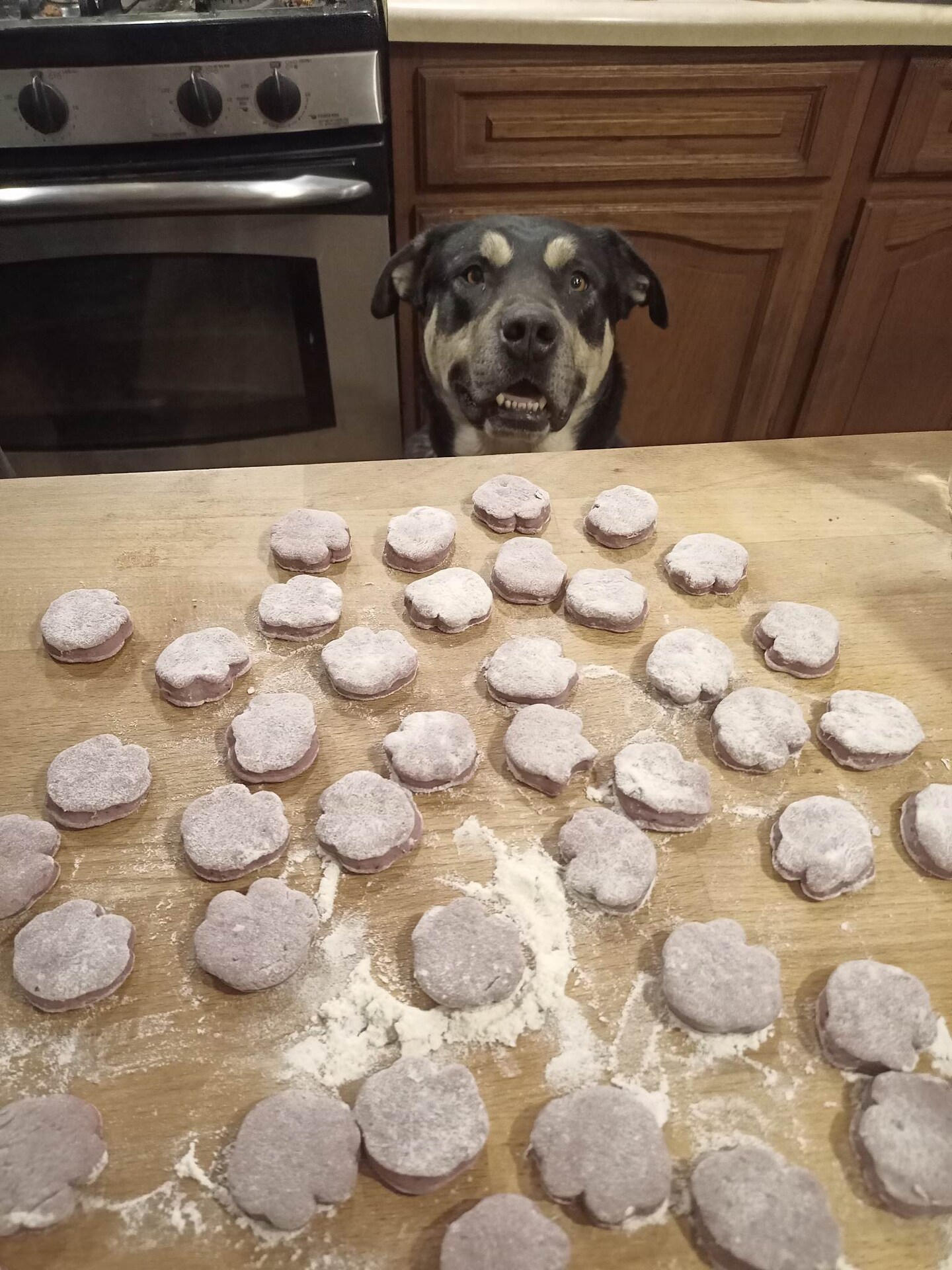 Crunchy Munchies Dog Treats: Barkberry Bonanza product 2