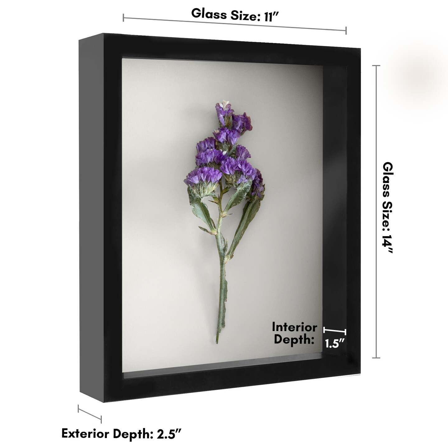 Americanflat Shadow Box Frame - 1.5 Interior Depth for Memorabilia - Display Case for Showcasing Souvenirs, Awards, and Medals - Shatter Resistant Glass - Hanging Hardware