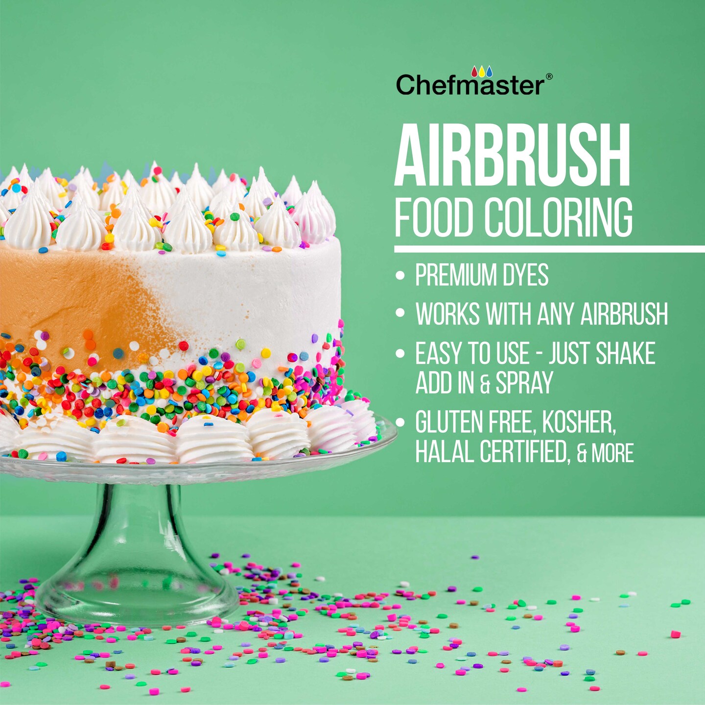 Master Airbrush Cake Decorating Airbrushing System Kit with a