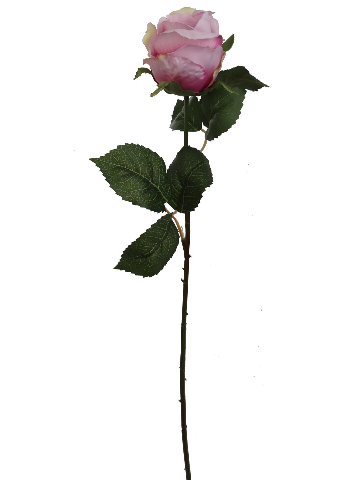 Set of 48 Artificial Rose Bud Stem with Silk Petals & Green Foliage