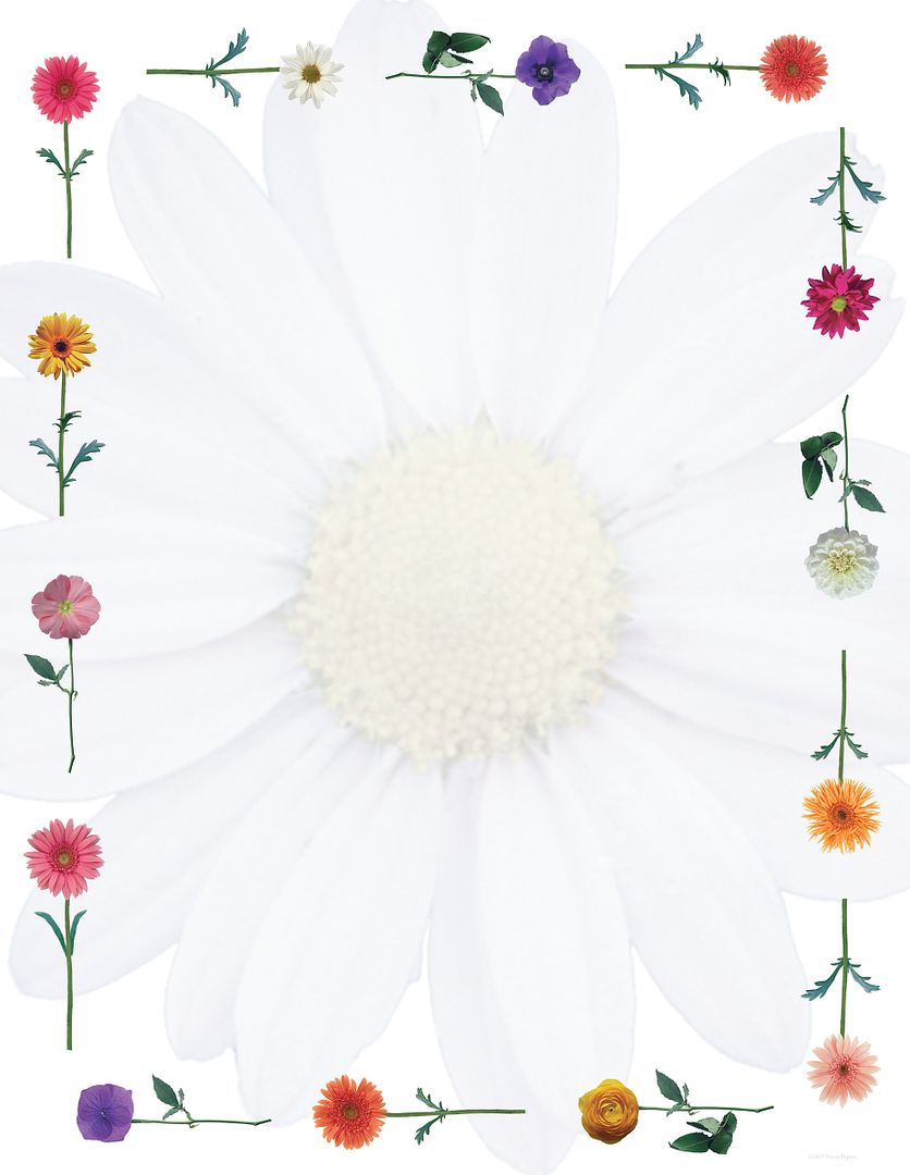 Great Papers! Daisies Stationery Letterhead, Invitations and Announcements, Printer Friendly, 8.5&#x22;x11&#x22;, 80 Pack