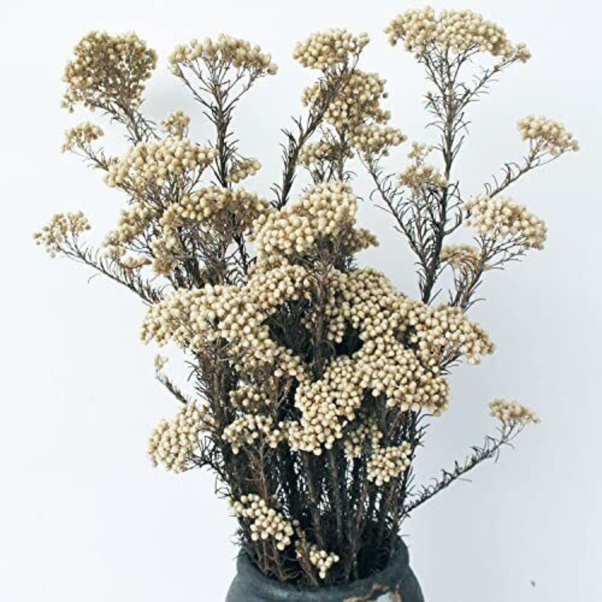 Natural Millet Flowers Dried Bouquet for Home Decor