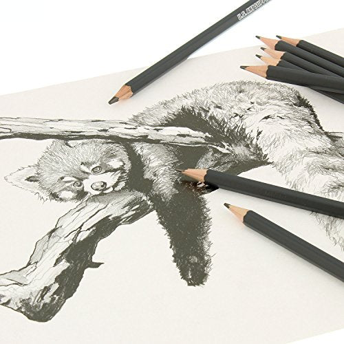 20 Piece Professional Hi-Quality Artist Sketch Set in Hard Storage Case - Sketch &#x26; Charcoal Pencils, Pastel, Stumps, Eraser, Sharpeners