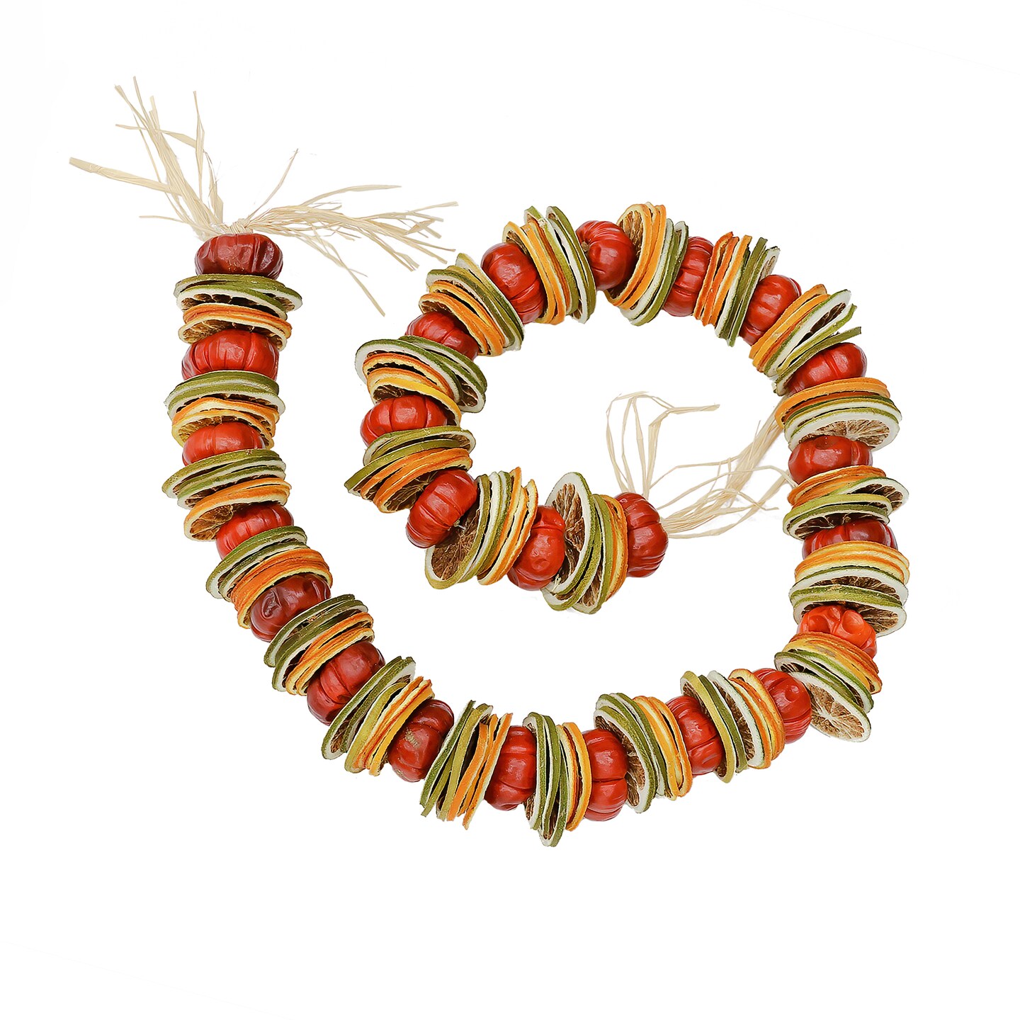 National Tree Company  4&#x27; Dried Citrus and Tomato Garland