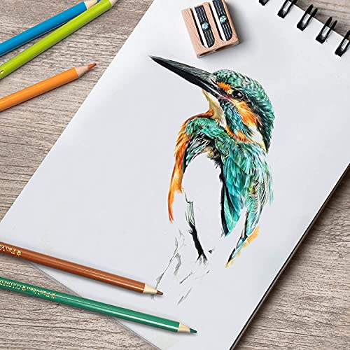 Colored Pencils Color Pencil Set for adult Coloring book Gifts for kids &#x26; Adults 50 count