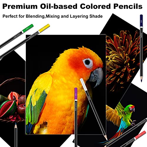 Colored Pencils for Adult Coloring Books, 72 Colored Professional Drawing Pencils, Art Supplies for Sketching, Shading for Beginners, kids &#x26; Pro.