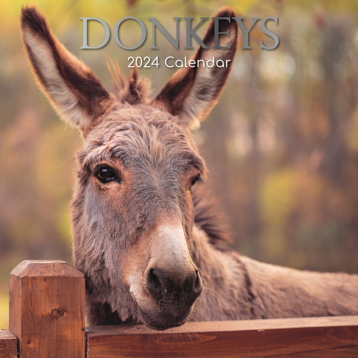 2024 Square Wall Calendar, Donkeys, 16-Month Animals Theme with 180 Reminder Stickers (12 x 12 In)