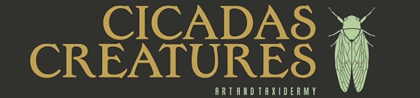 storefront banner