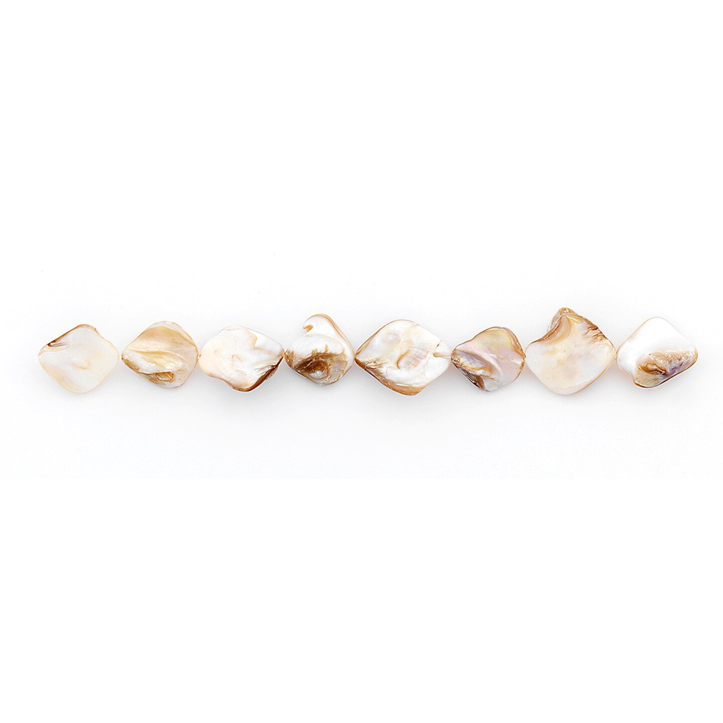 Sea Shell Chunky 12mm-18mm Beads PK/8 Tinted  Natural