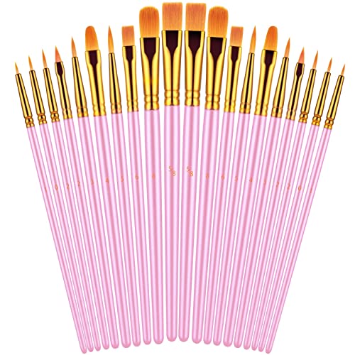 Paint Brushes Set, 20 Pcs Paint Brushes for Acrylic Painting, Oil Watercolor Acrylic Paint Brush, Artist Paintbrushes for Body Face Rock Canvas, Kids Adult Drawing Arts Crafts Supplies, Pink