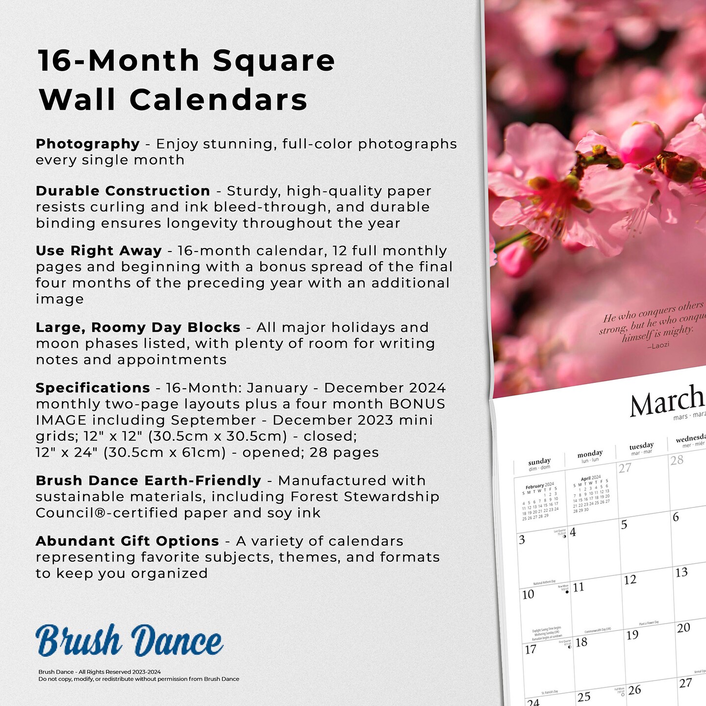 Mindful Days | 2024 12 x 24 Inch Monthly Square Wall Calendar | Brush Dance | Art Paintings Inspirational Quotes