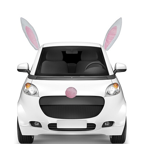 Easter Bunny 2-Piece Car Art - Pink