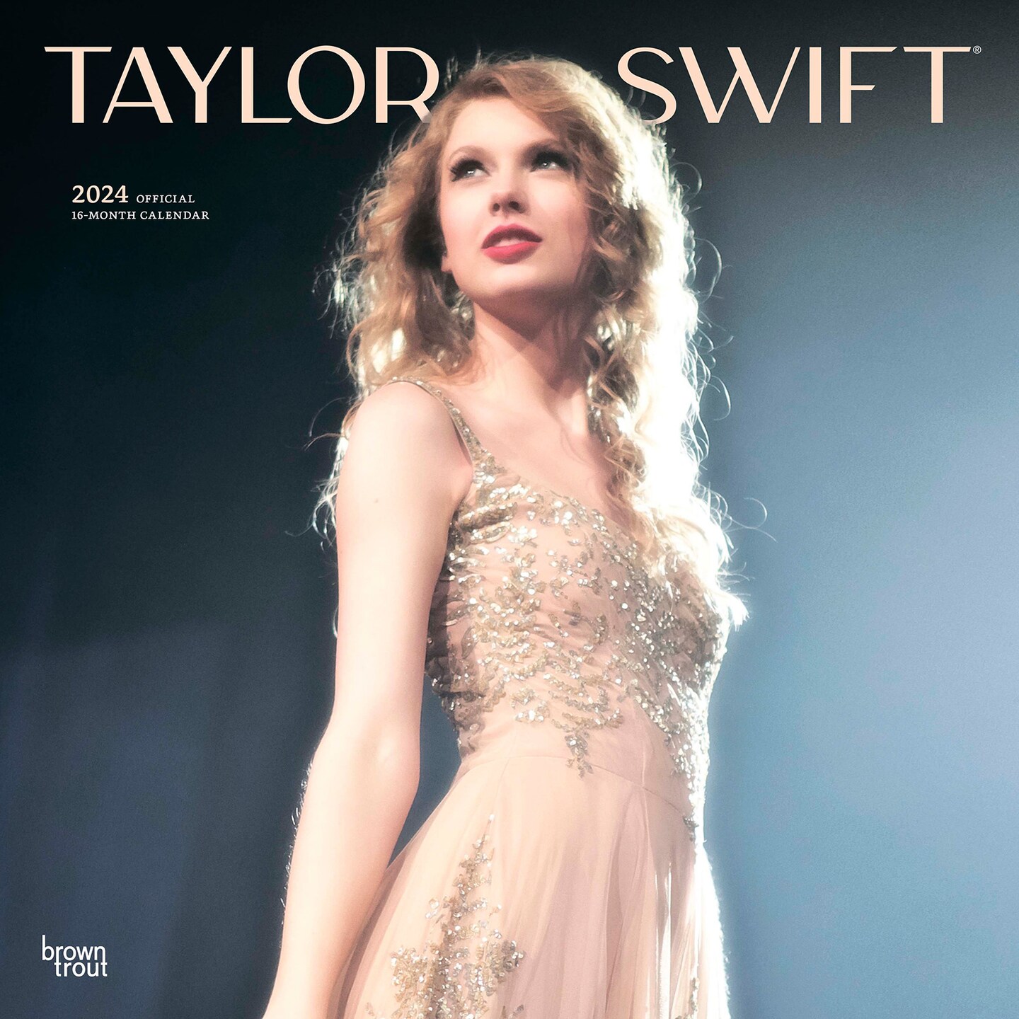 Taylor Swift Diamond Painting  Taylor swift posters, Taylor swift