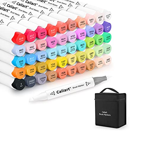 Caliart 121 Colors Artist Alcohol Markers Dual Tip Art Markers Twin Sk –  WoodArtSupply