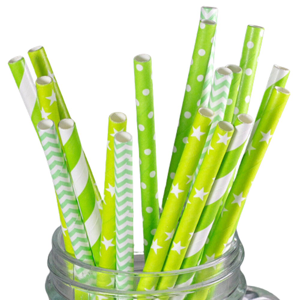 Kitcheniva Biodegradable Paper Straws Pattern Color 100 to 200 Pcs