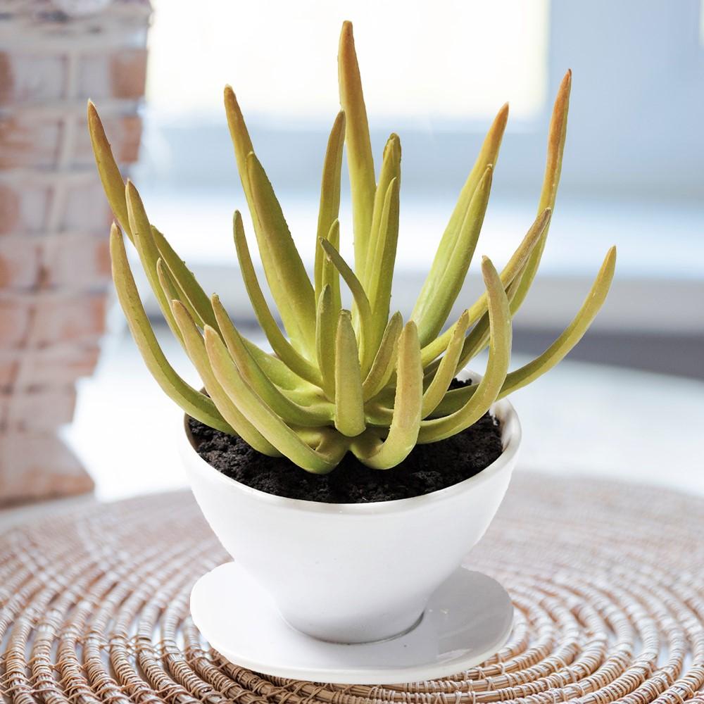 Artificial 6&#x22; Potted Succulent Narrow-Leaf Chalksticks - Perfect for Home Office, Desk, Shelf, Apartment, Wedding Decor, Baby Shower Gifts