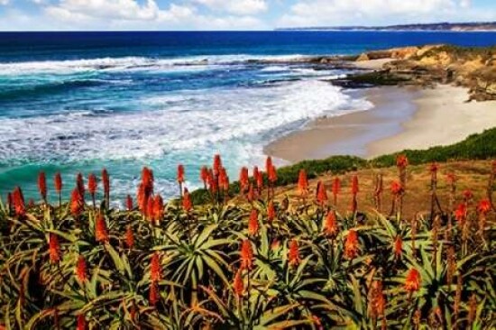Point La Jolla I Poster Print by Alan Hausenflock - Item # VARPDXPSHSF2005