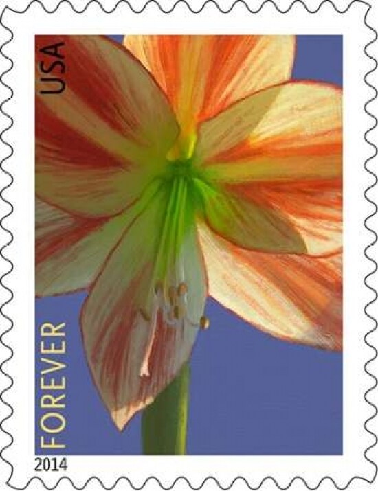Amaryllis Poster Print by US POSTAL SERVICE - Item # VARPDX3317