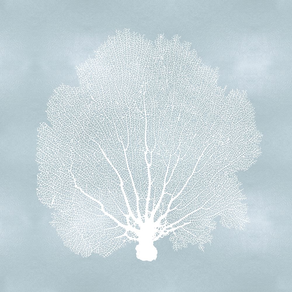 Sea Fan on Aqua II Poster Print by Melonie Miller # MMR116766