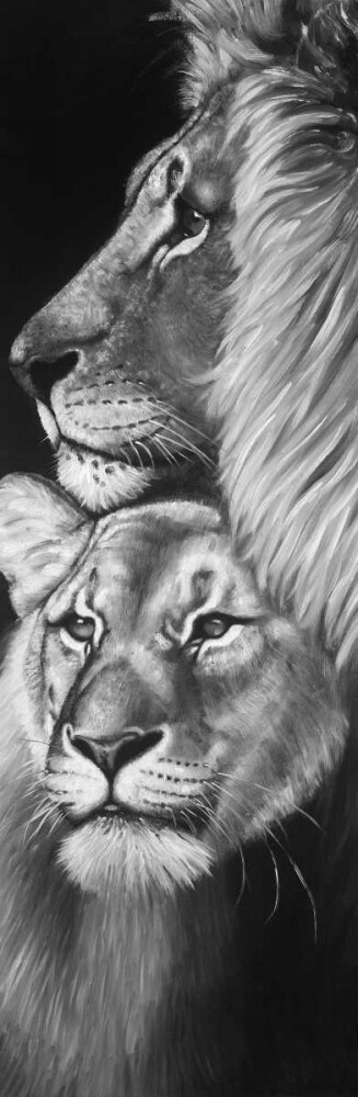 Lion and Lioness Poster Print by Atelier B Art Studio - Item # VARPDXBEGANI306