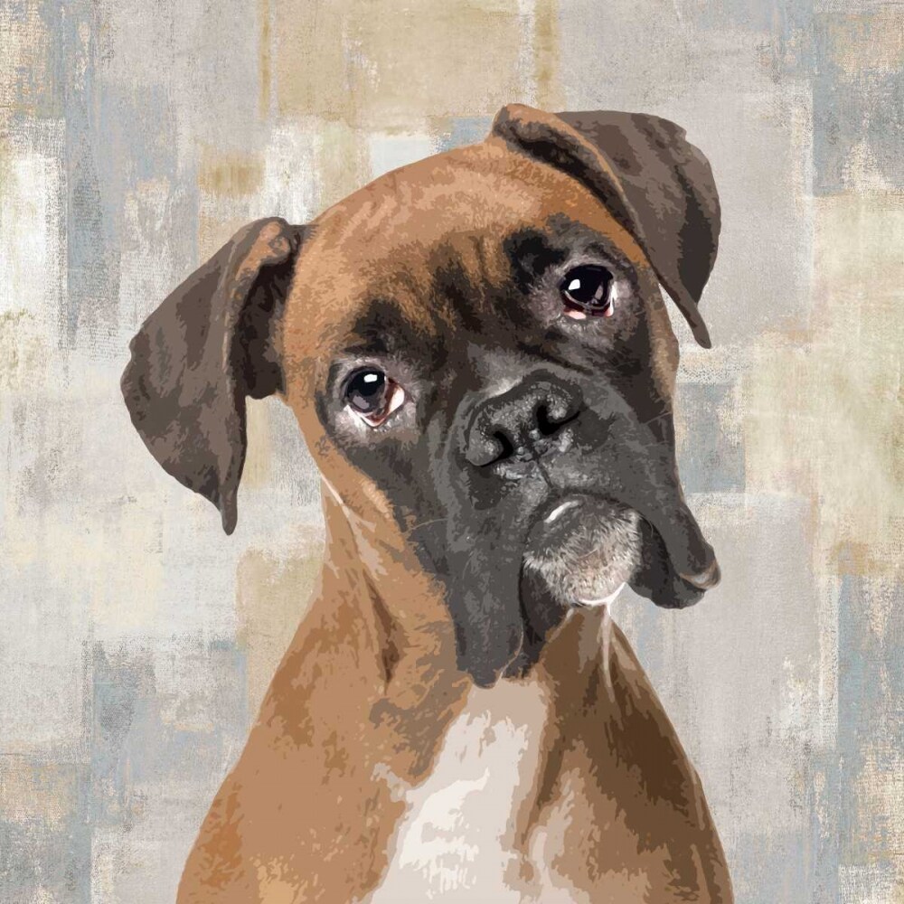 Boxer Poster Print by Keri Rodgers # KG114631