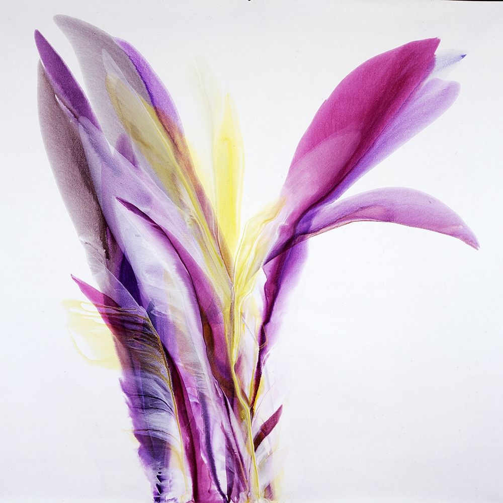 Ecstasy Poster Print by Bette Ridgeway - Item # VARPDXBT016A