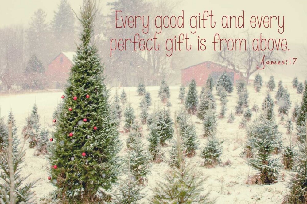 Holiday Messages I Poster Print by Kelly Poynter - Item # VARPDX10107