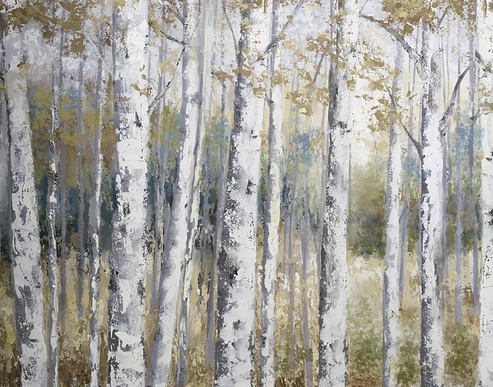 Hidden Birch Poster Print by Nan - Item # VARPDX19838